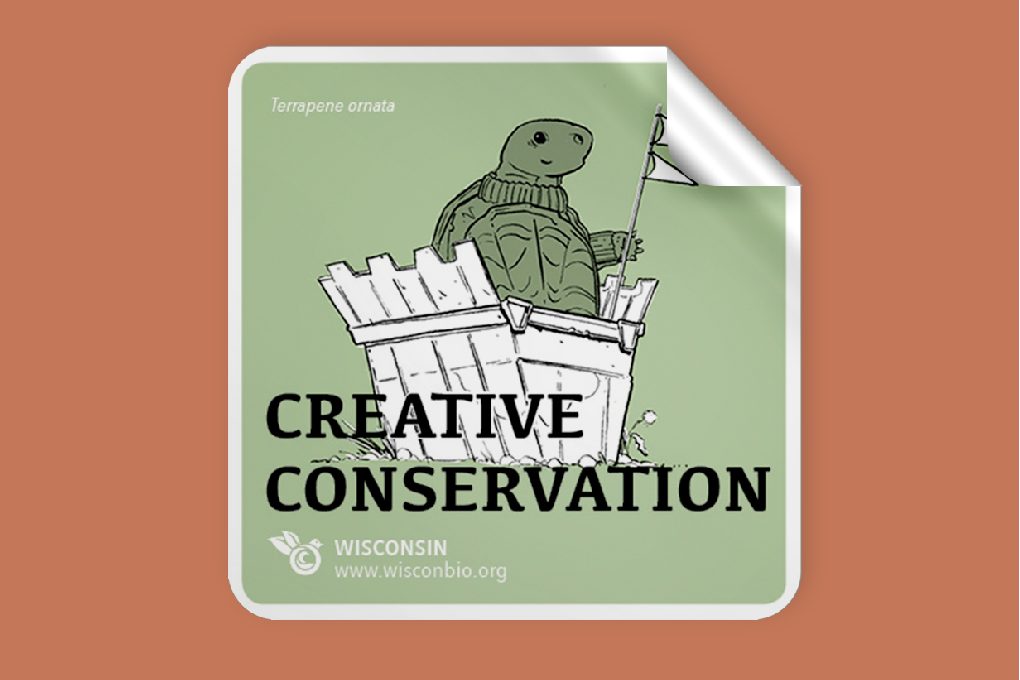 Creative Conservation Allies