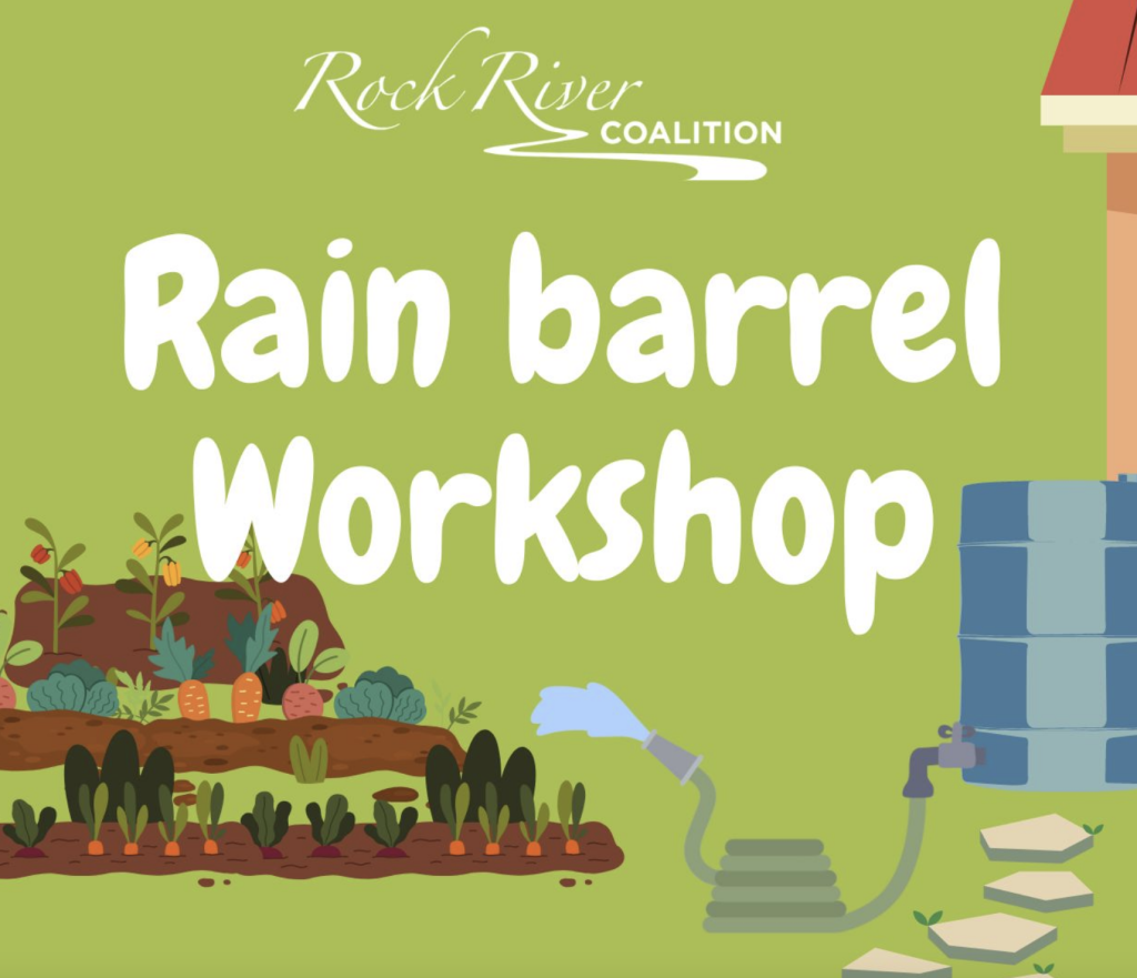 Rain Barrel Workshop