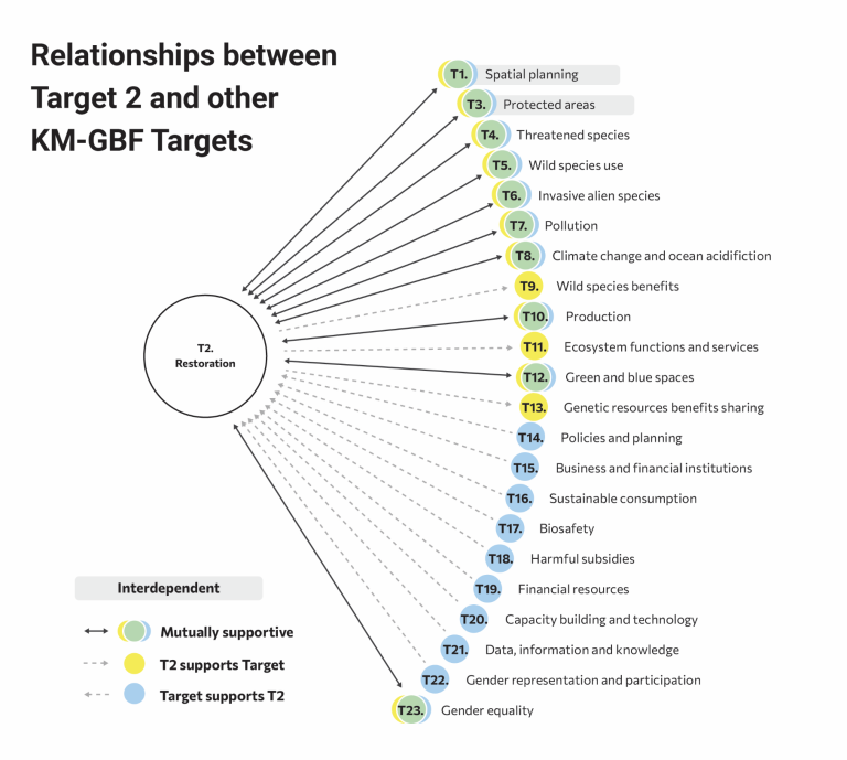 Target 2 Infographics