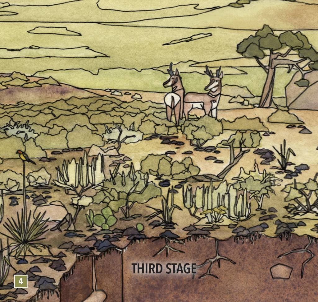 Canyonlands Research Center – Interpretive Panels